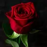 Escobaro
