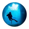 xnet