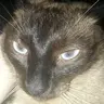 smiky