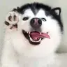timito