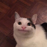 xSTAFL
