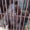 Igor1312