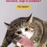 sempro