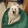 paxxxan