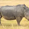 .ÇÄMÜRÄI