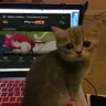 dimitro_d