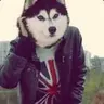 Mc.Пох