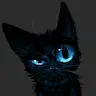 tisaara.shani