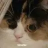 a[C]e_#60fps