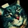 Selimok