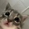 saynothhin