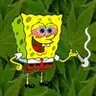 CandyLord