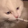 NEXTkuk