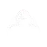 cybershadow