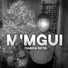 mimgui