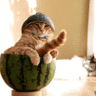 KittyCat112