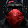 xtzy