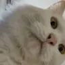 Al5