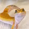Веточка