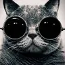 Xinil