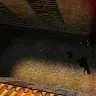 vladosiq