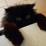 babaika