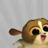 lemur_mort