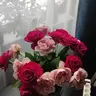 Ольчик20