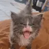 Горький