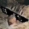 Kotobormot123