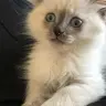 alinahaaze