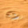 Дуб