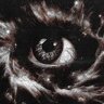 Asura91