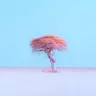 Gjeo