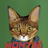 montiK