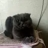 Игорь01