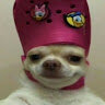 rzzch