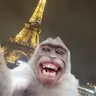 MonkeyBro