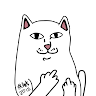 wirellex