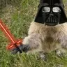 Supercypok
