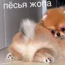 alagleb