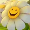 VeryAcid