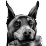 "Doberman"
