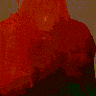 Rkx