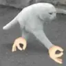 yaaaah