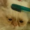 admriser