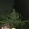 krokozeab