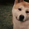 Verybadmusic
