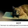 RobertRom