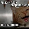 grarkaa
